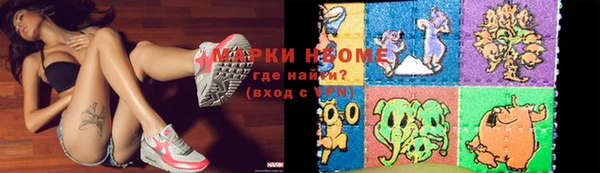 трава Новозыбков