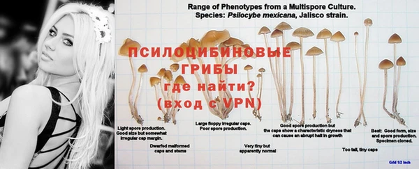 гашиш Гусиноозёрск