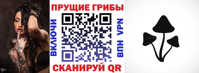 купить наркоту  Иннополис  Галлюциногенные грибы Psilocybe 